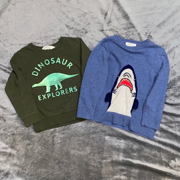 H&M Other - H&M Two-Pack of Sweaters Size 4-6 Dinosaur & Shark